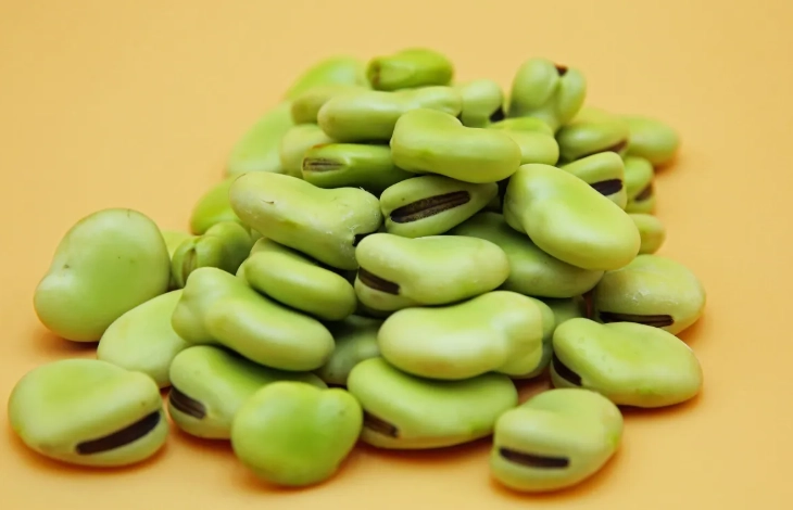 G6PD缺乏症食物管理