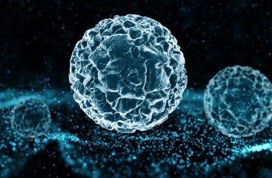 諾羅病毒預防方法