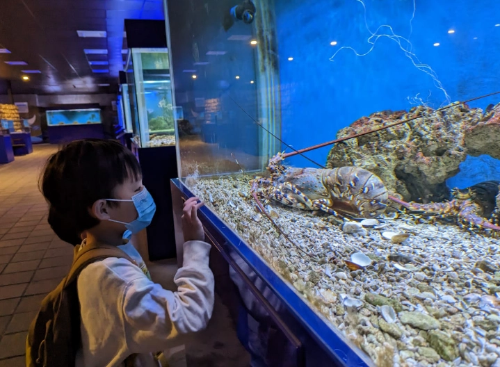 小琉球省錢玩法