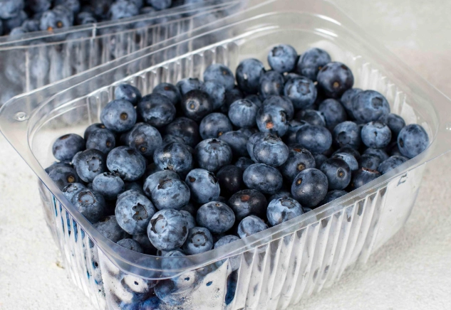 藍莓清洗