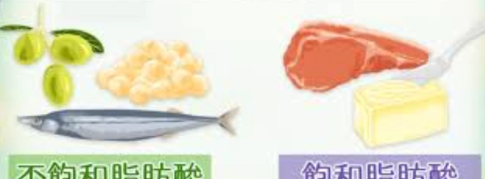 基礎代謝率提升