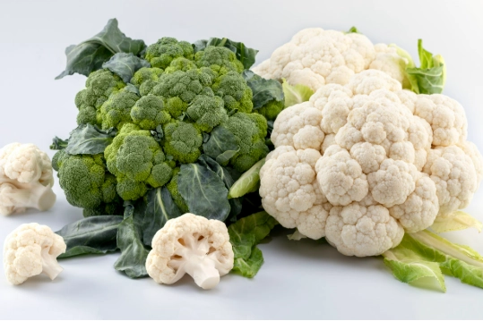 花椰菜新鮮挑選全攻略：從市場到餐桌的保鮮秘訣