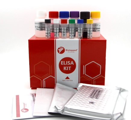 一直喝水一直尿正常嗎？醫師教你判斷關鍵與改善方法