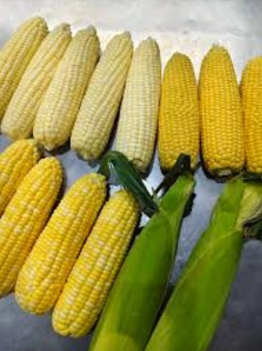 水果玉米好處全解析：營養師教你聰明吃出健康與美味