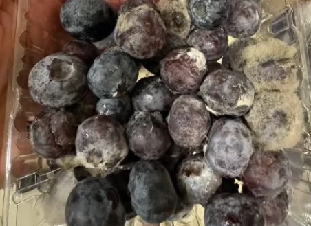 洗藍莓的正確方法