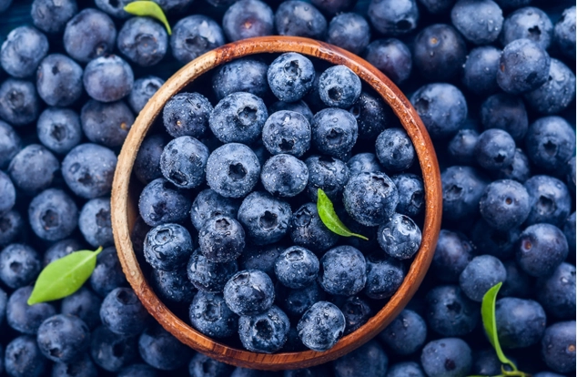 藍莓抗發炎功效全解析：從科學證據到日常實踐的完整指南