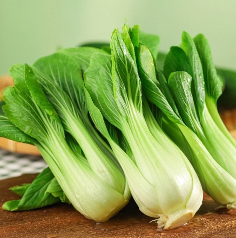 增強免疫力食物