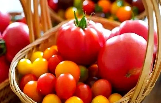 蕃茄糖尿病症狀