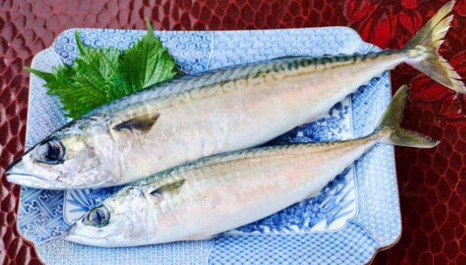 鉀高食物海鮮全攻略：聰明挑選、安心享用與腎臟保健指南