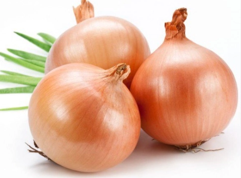 腎臟病可以吃洋蔥嗎？營養師詳解關鍵原則與安全吃法