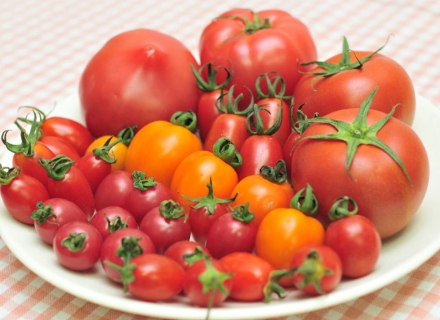 大番茄小番茄差異全解析：選對番茄讓料理更美味！