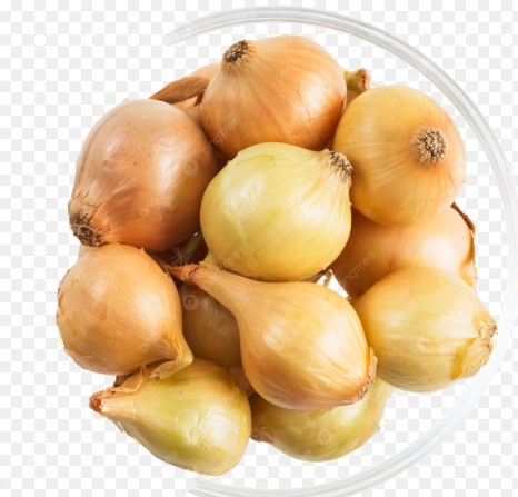 珍珠小洋蔥食譜