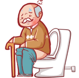 老人便秘吃什麼？10種高纖食物與飲食全指南