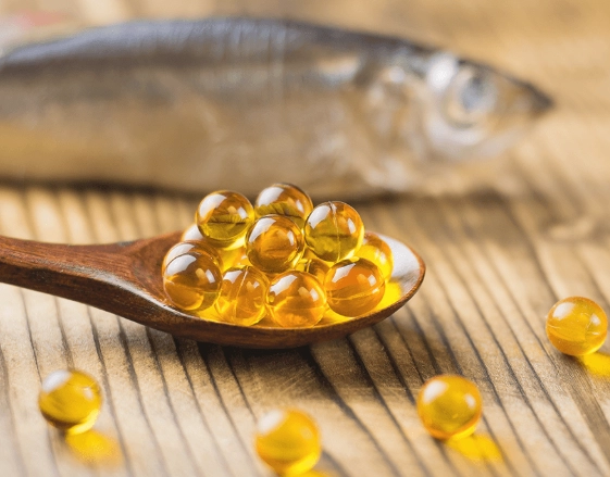 魚油對腎臟的好處：專家解析與實用保健指南