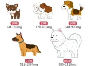 狗狗低磷食物完整指南：腎臟保健飲食選擇與自製食譜