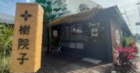 樹院子蔬食火鍋：台北必訪的純素火鍋體驗與完整指南