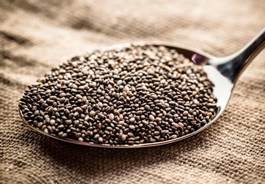 素食蛋白質來源