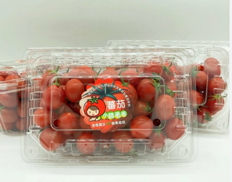 聖女番茄營養