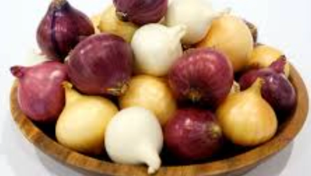 珍珠小洋蔥營養