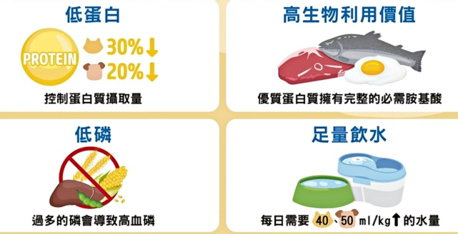 腎臟病狗狗蔬菜