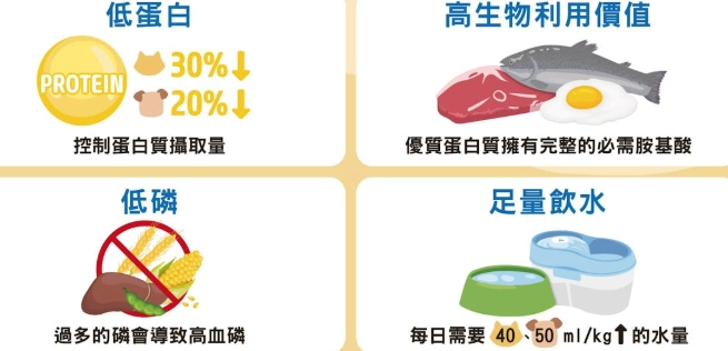 低磷狗飼料 低磷狗飼料