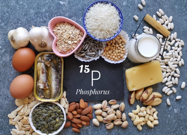 高磷食物 列表