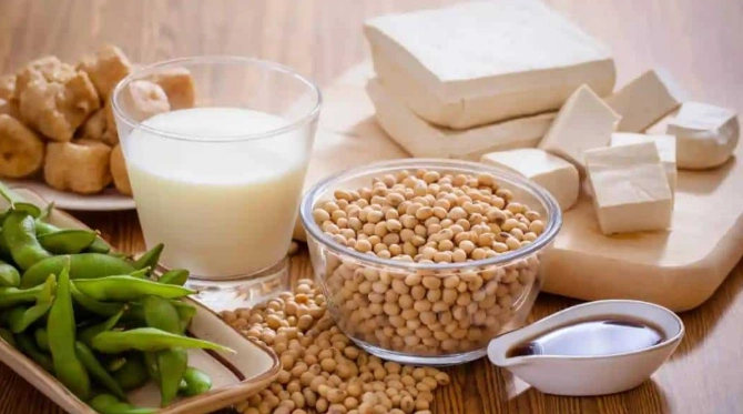 高蛋白植物食物