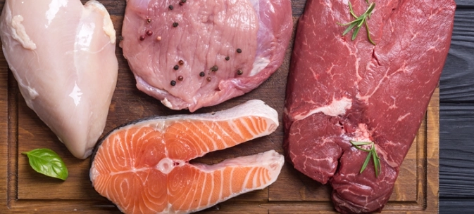 狗腎臟病飲食 狗腎臟病飲食