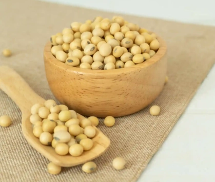 蛋白質食物清單