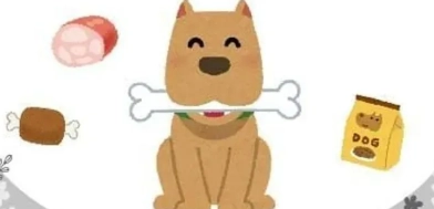 狗狗低蛋白食物