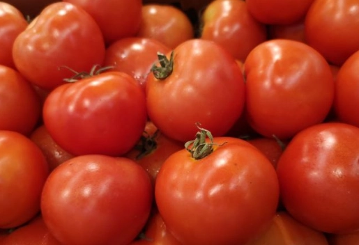 減肥可以吃牛番茄嗎？營養師解析低卡飲食秘訣與實用指南