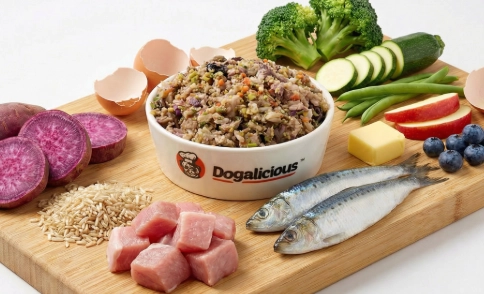 狗狗腎臟病鮮食