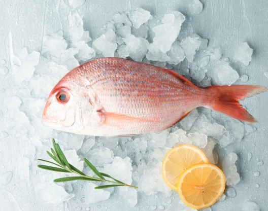 永續海鮮 永續海鮮