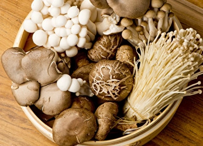 糖尿病 飲食 菇類
