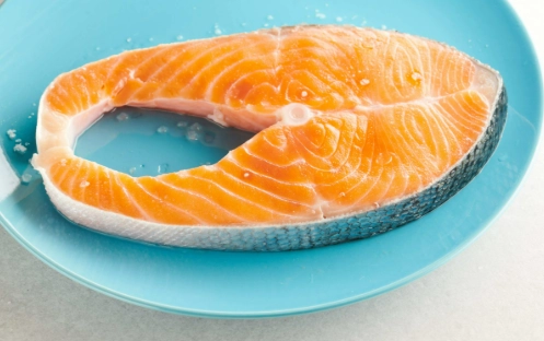 狗狗可以吃鮭魚嗎