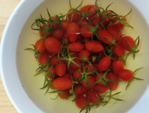 車厘茄禁忌 車厘茄禁忌