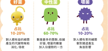 改善腸道益生菌的終極指南：從飲食到生活習慣的實用策略
