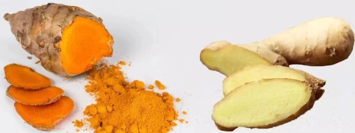 薑黃薑差別終極解析：從外觀到功效一次搞懂