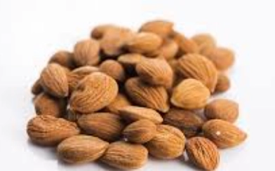 素食蛋白質來源