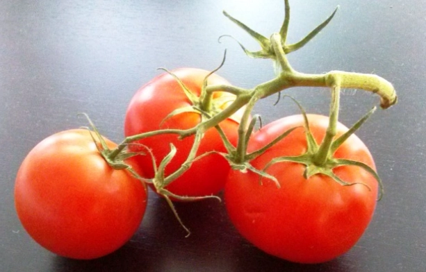 大番茄營養成分