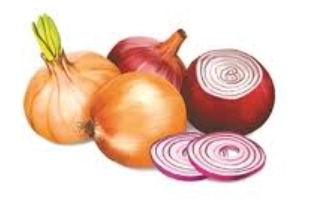 洋蔥對眼睛不好？切洋蔥不流淚的科學真相與實用技巧