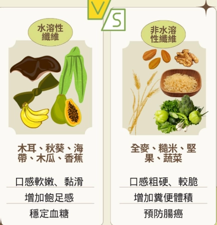 水溶性膳食纖維好處全解析：改善消化與健康的關鍵營養素