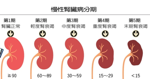 磷過高的食物清單與飲食指南：腎臟保健必知的飲食陷阱