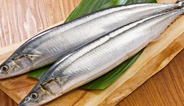 DHA含量高的食物清單：聰明攝取，吃出好腦力