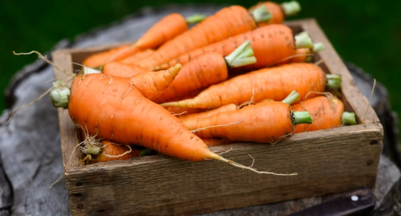 糖尿病人能吃胡蘿蔔嗎？營養師破解升糖迷思與安全吃法