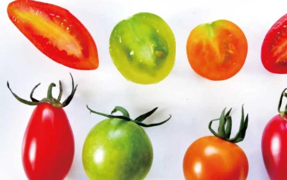 小番茄 升糖指數