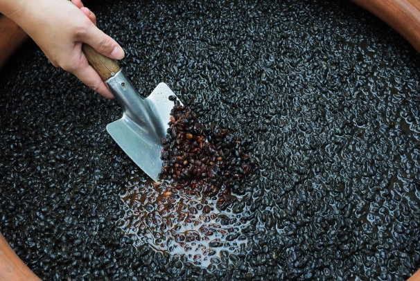 膳食纖維與粗纖維差異