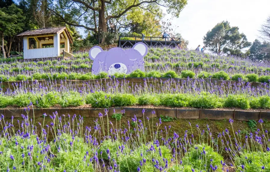 情人節餐廳 台中