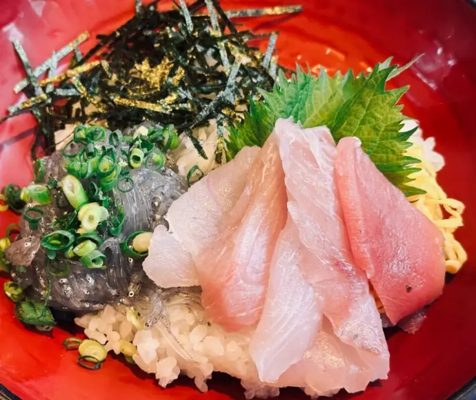 鎌倉吻仔魚季節全攻略：品嚐、行程與在地體驗一次收藏