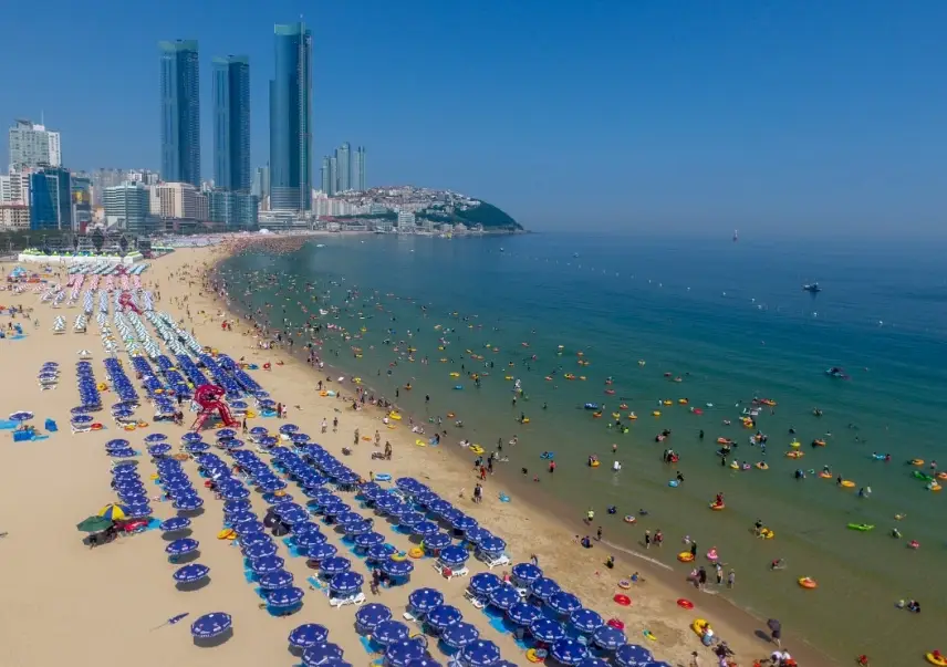 釜山四天三夜自由行全攻略：行程規劃、景點美食住宿推薦